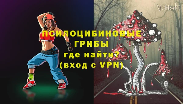 mix Белокуриха