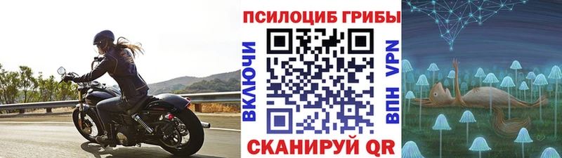 Псилоцибиновые грибы GOLDEN TEACHER  Красноперекопск 